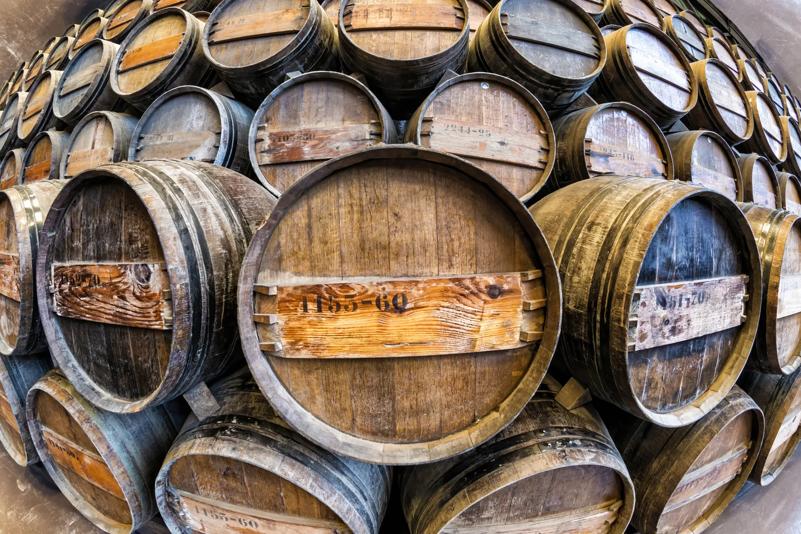 Dégustation de vin à Azeitão une activité exclusive à Lisbonne avec INNOV'events