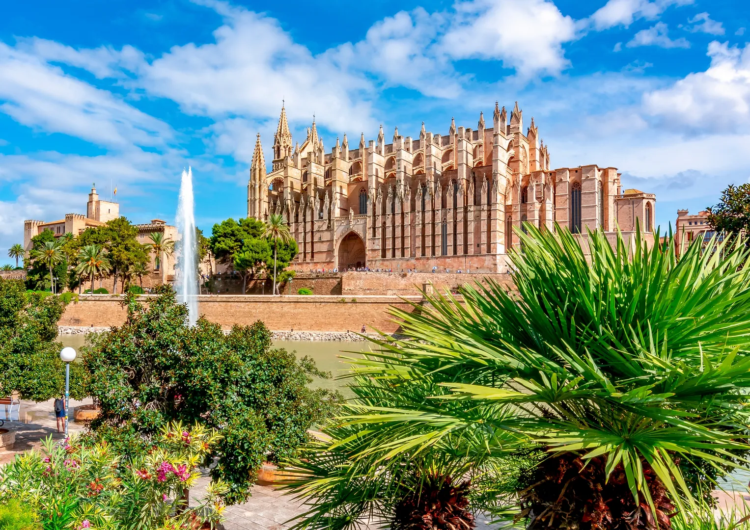 Visite guidée de la cathédrale de Palma une activité exclusive à Palma de Majorque avec INNOV'events