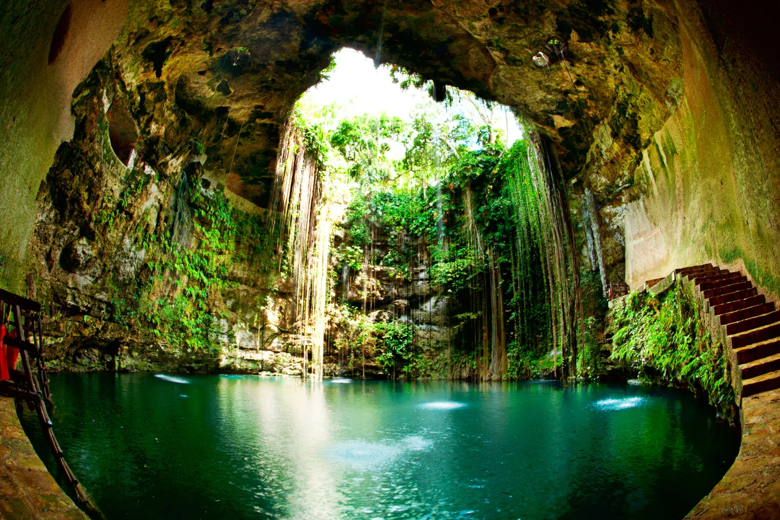 Exploration de cénotes une activité exclusive à Cancún avec INNOV'events