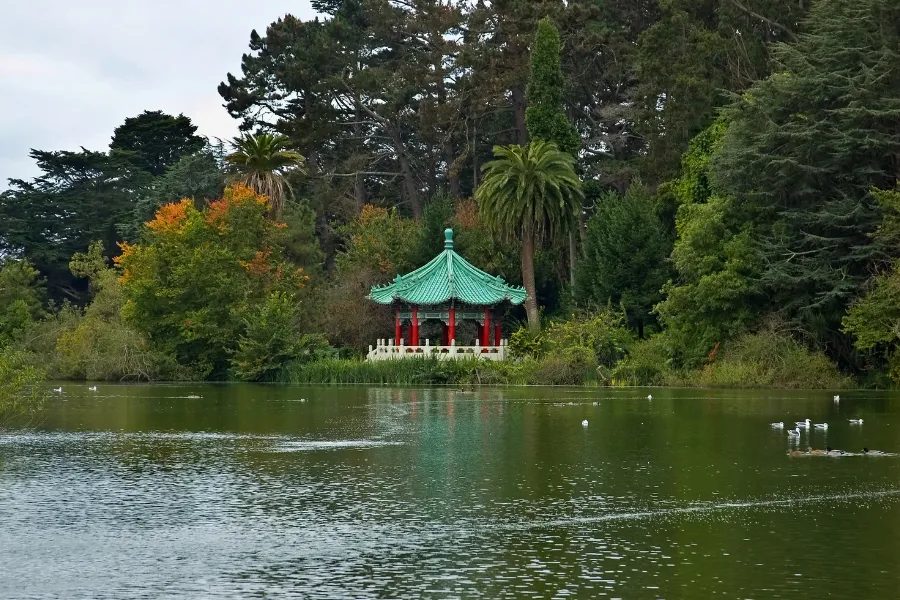 Chasse au trésor au Golden Gate Park une activité exclusive à San Francisco avec INNOV'events