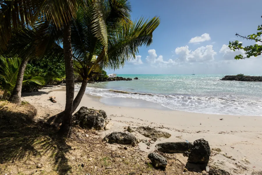 Rallye nautique dans la baie de Gosier une activité exclusive à Guadeloupe avec INNOV'events