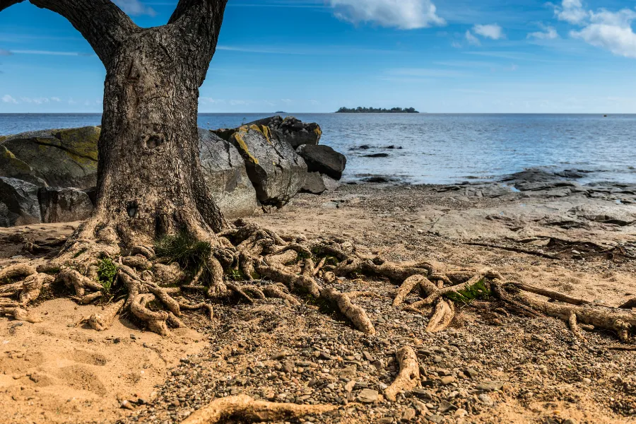 Croisière au coucher du soleil sur le Río de la Plata une activité exclusive à Buenos Aires avec INNOV'events