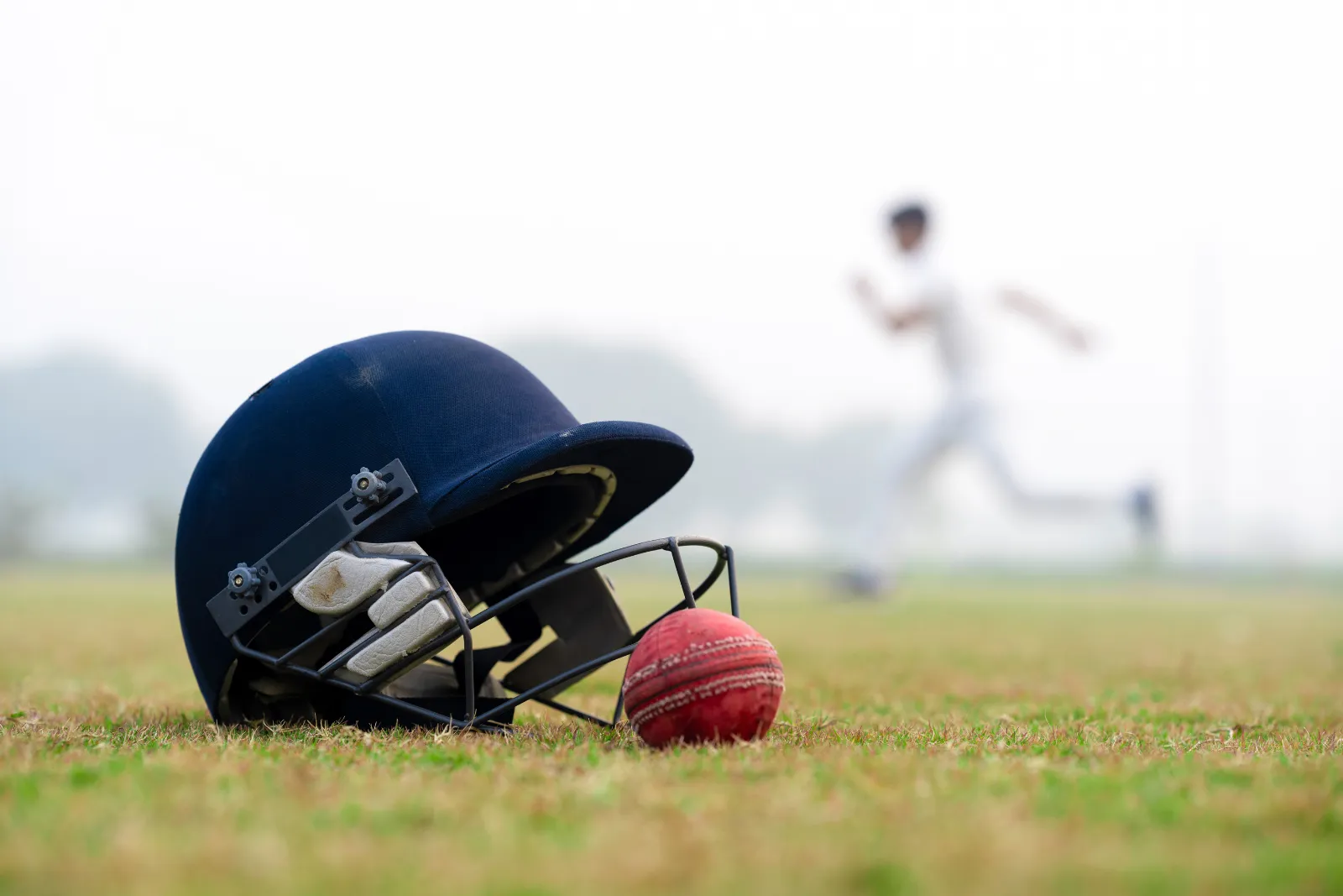 Tournoi de cricket une activité exclusive à Sydney avec INNOV'events