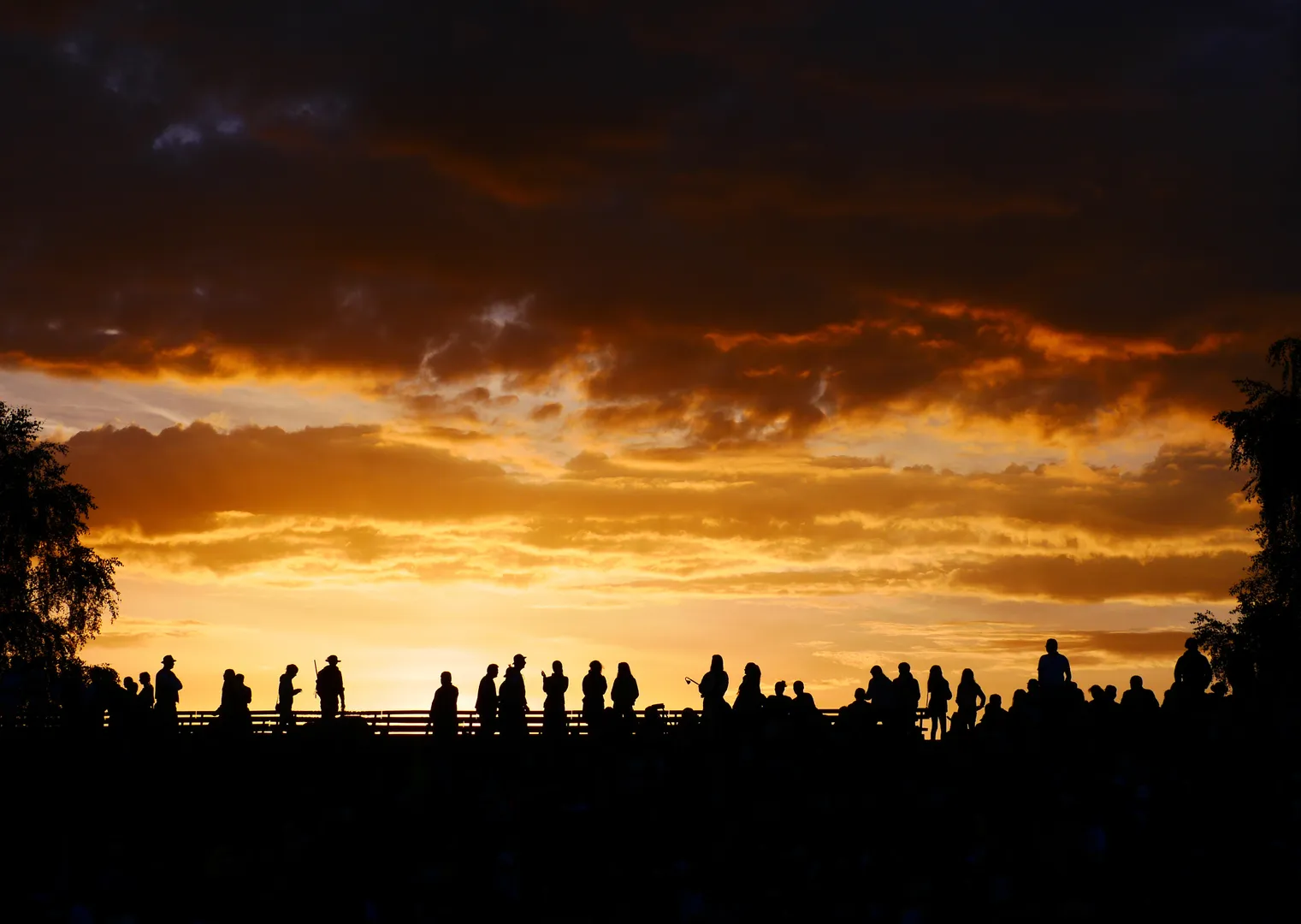 Observation des étoiles au Parc Jourdan une activité exclusive à Aix-en-Provence avec INNOV'events