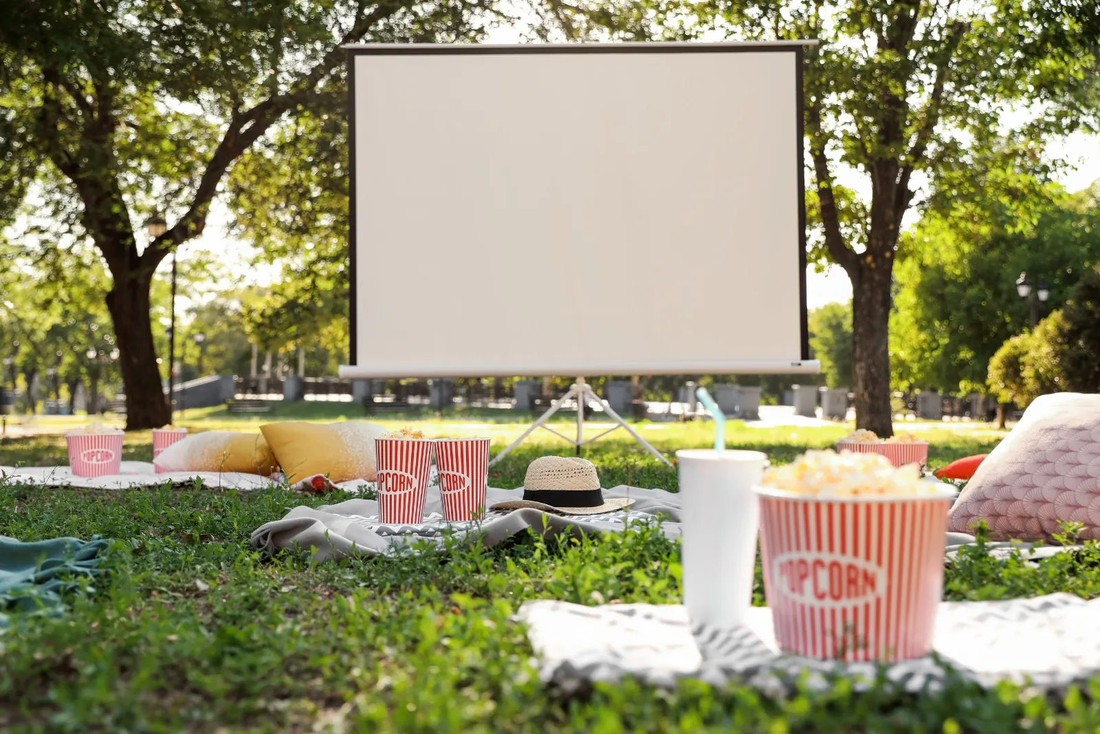 Séance de cinéma au Parc de Bruxelles une activité exclusive à Bruxelles avec INNOV'events