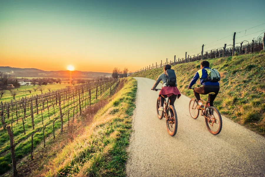Excursion en vélo à travers les vignobles une activité exclusive à Tours avec INNOV'events