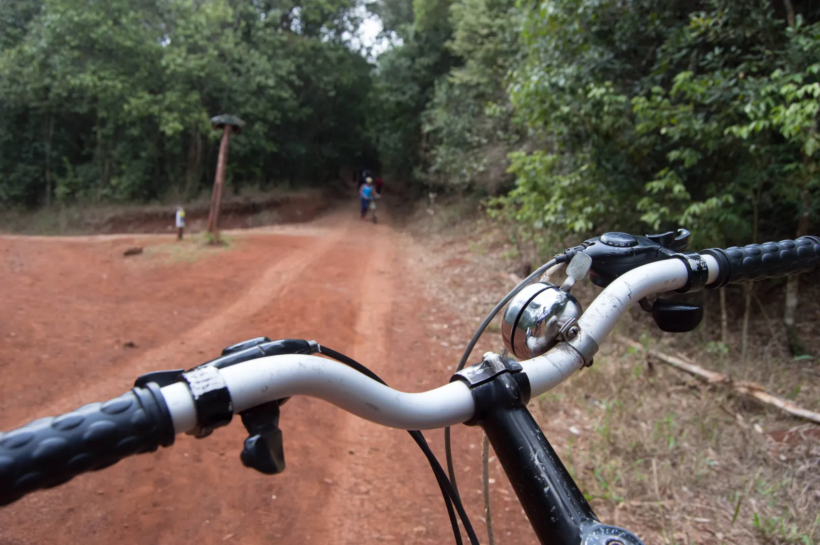 Course de vélo dans Karura Forest une activité exclusive à Nairobi avec INNOV'events