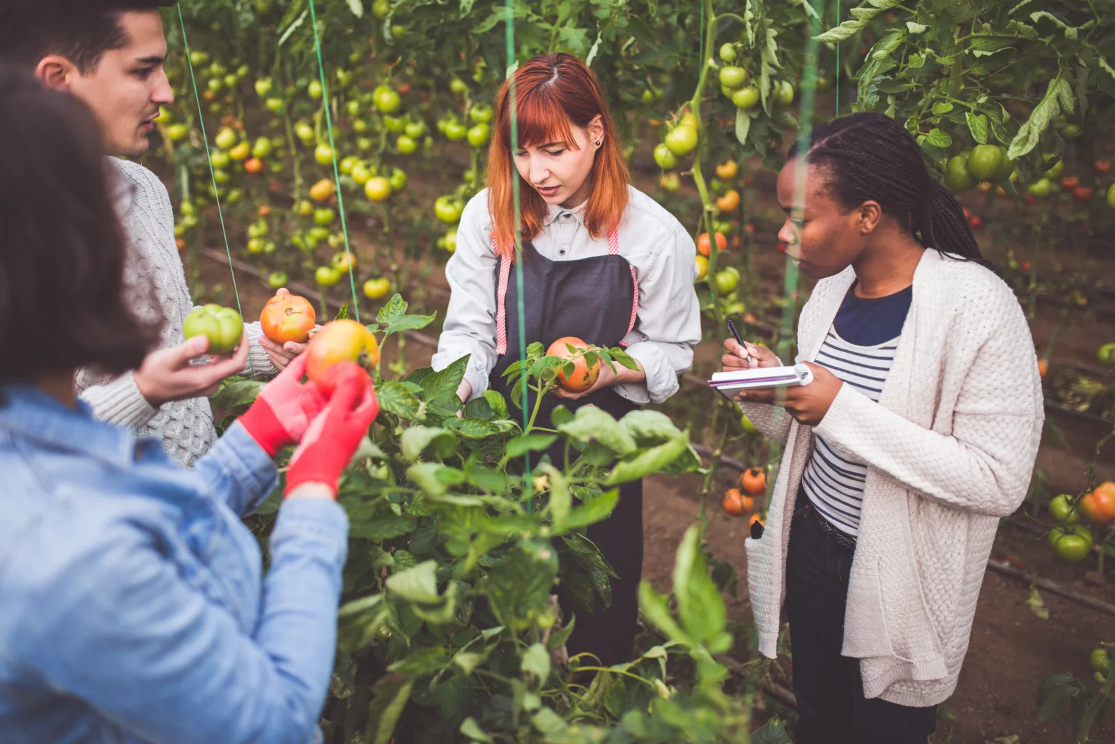 Visite d'une ferme biologique une activité exclusive à Vilnius avec INNOV'events