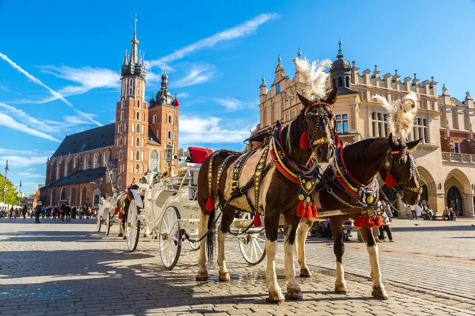 Voyage d'affaires et séminaire en Pologne avec INNOV'events