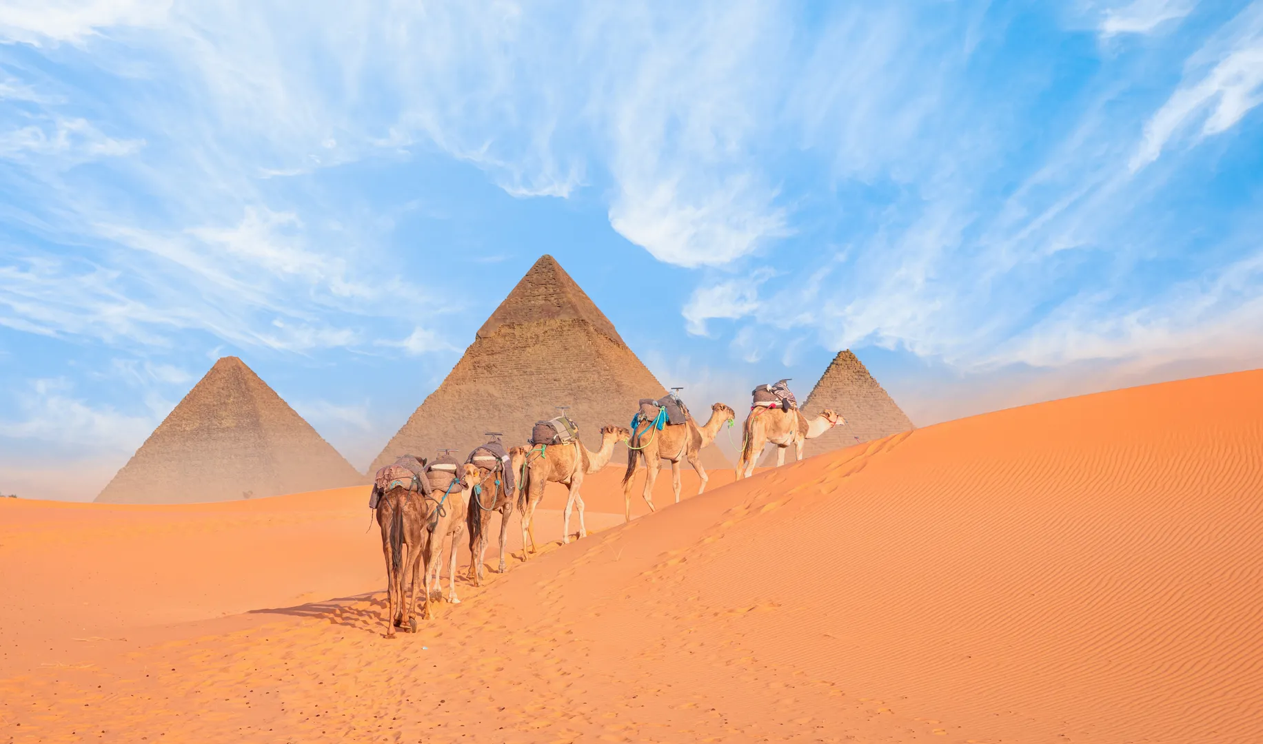 Un Team building à Le Caire  avec votre équipe, avec INNOV'events