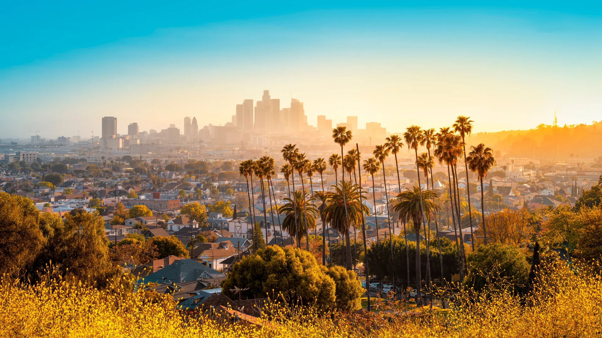  Séminaire Los Angeles : Notre offre de voyage d’entreprise, hôtels et activités