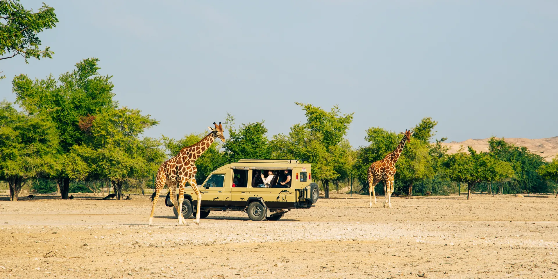 Un Team building à Nairobi  avec votre équipe, avec INNOV'events