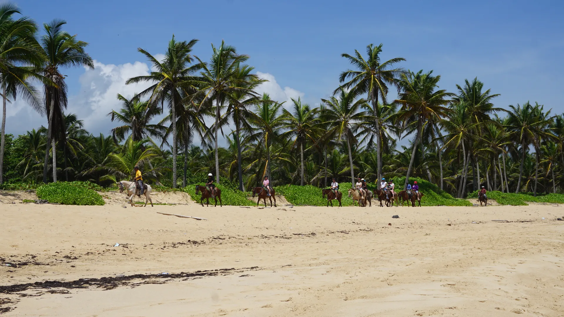   Séminaire Punta Cana : Notre offre de voyage d’entreprise, hôtels et activités