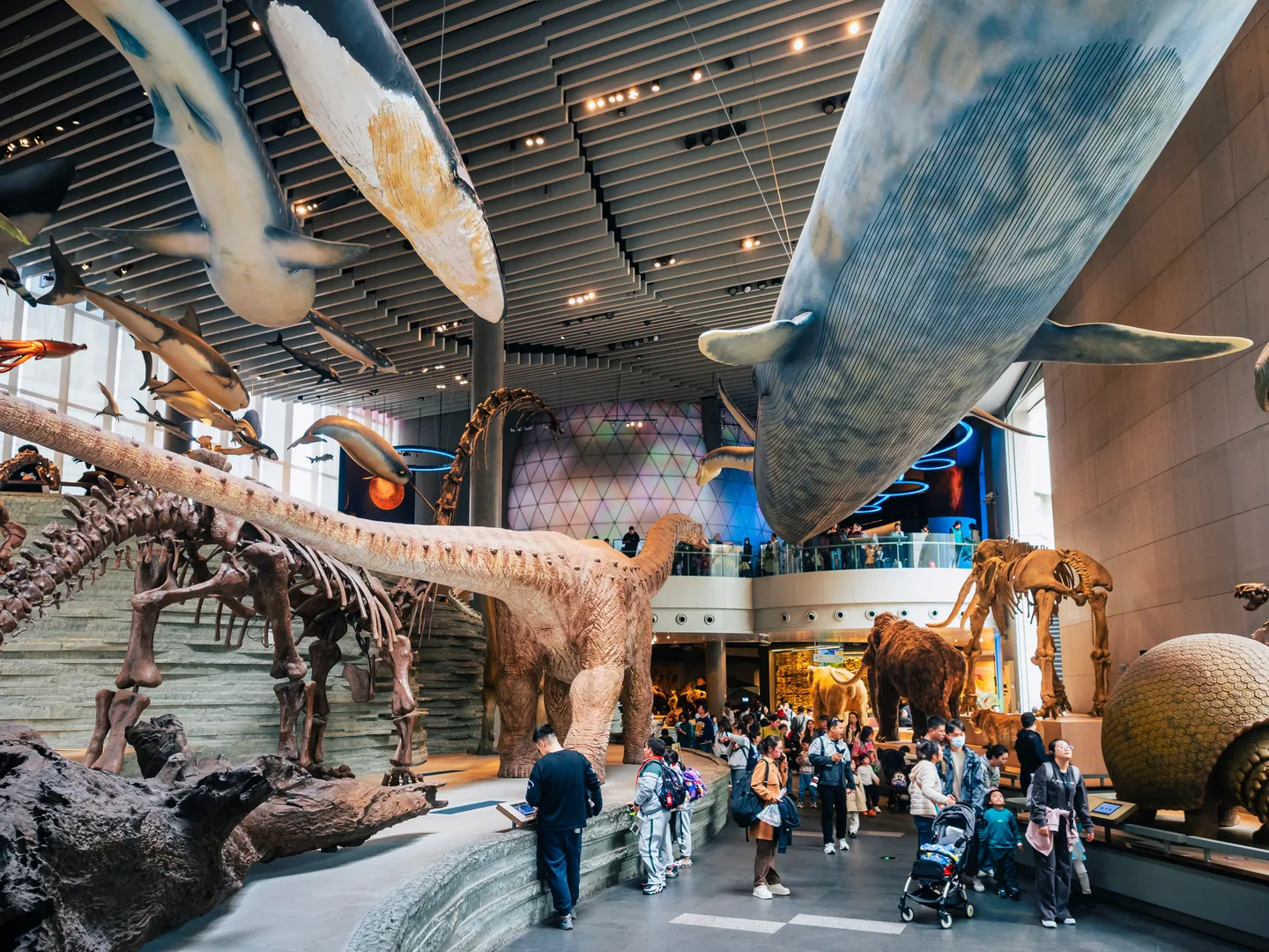 Un Team building à Shanghai  avec votre équipe, avec INNOV'events