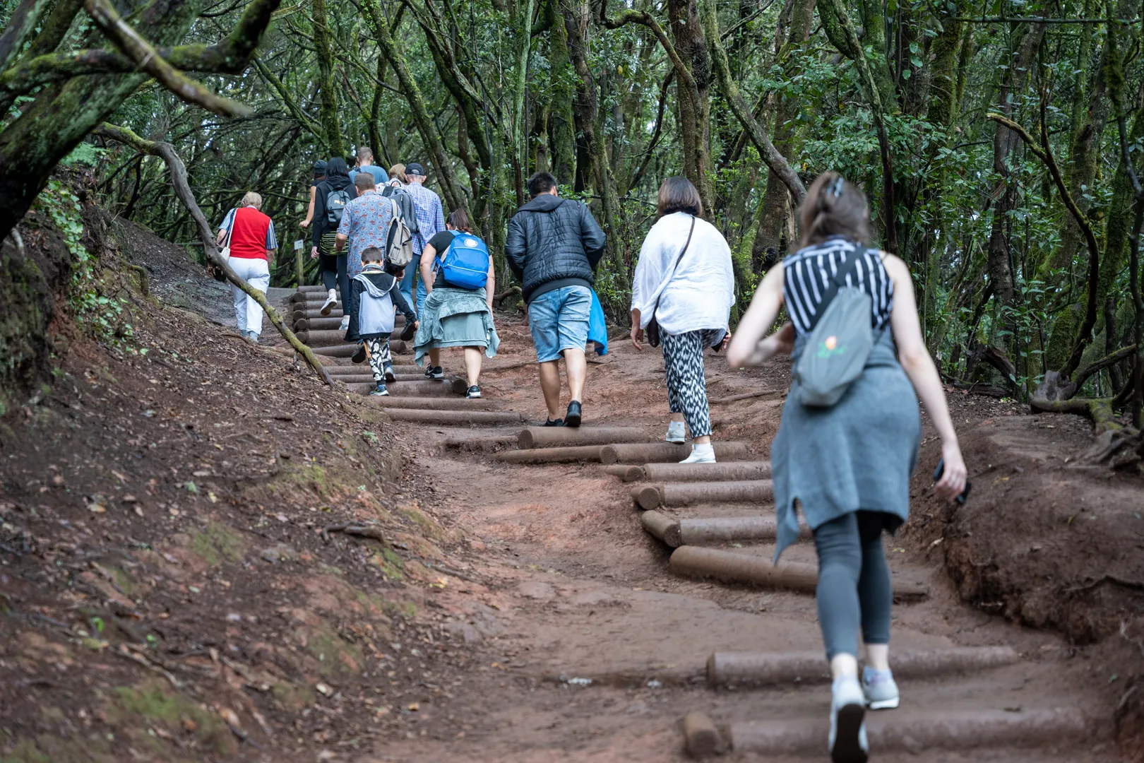 Un Team building à Tenerife  avec votre équipe, avec INNOV'events