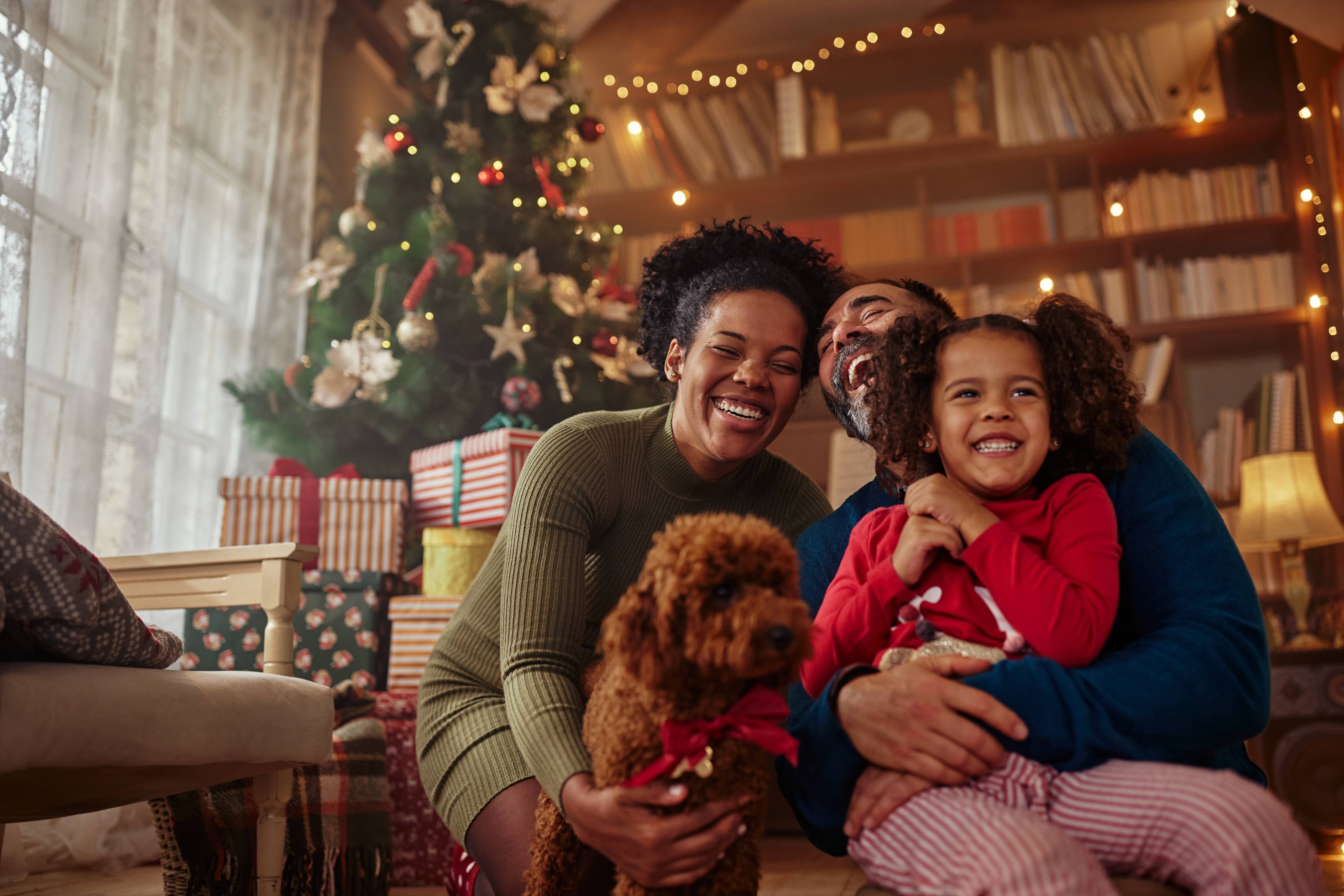 Organisation professionnelle de Arbre de Noël Laval à Laval