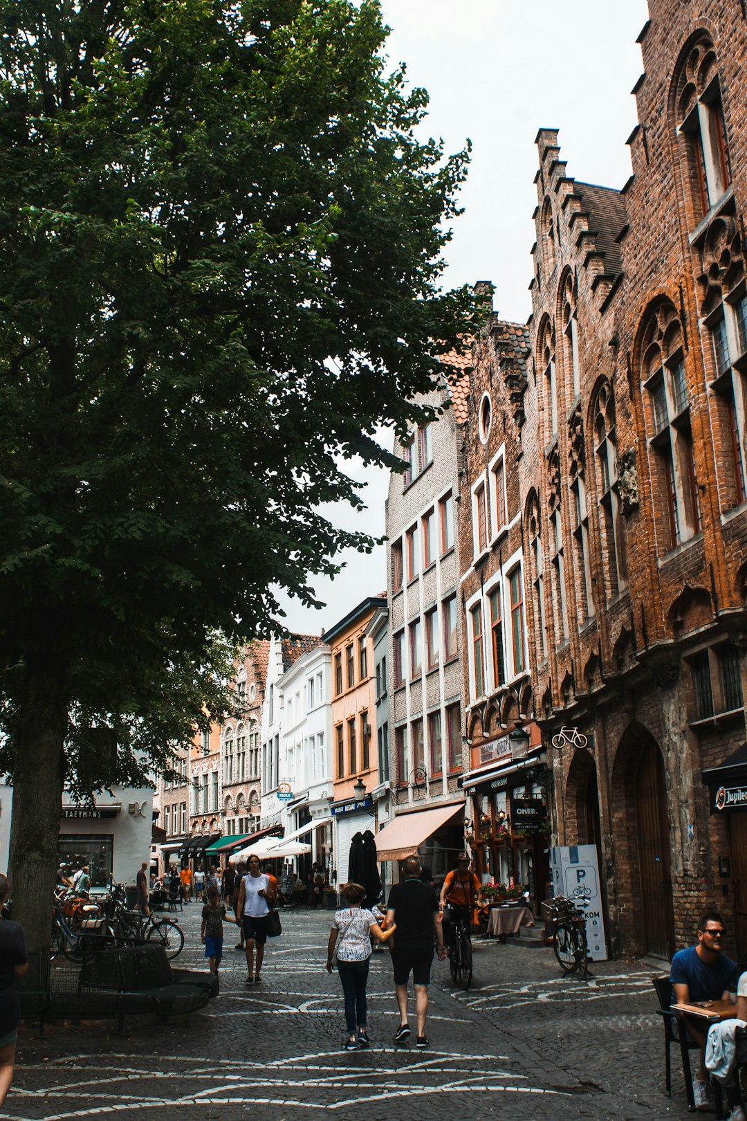Session de teambuilding à Belgique