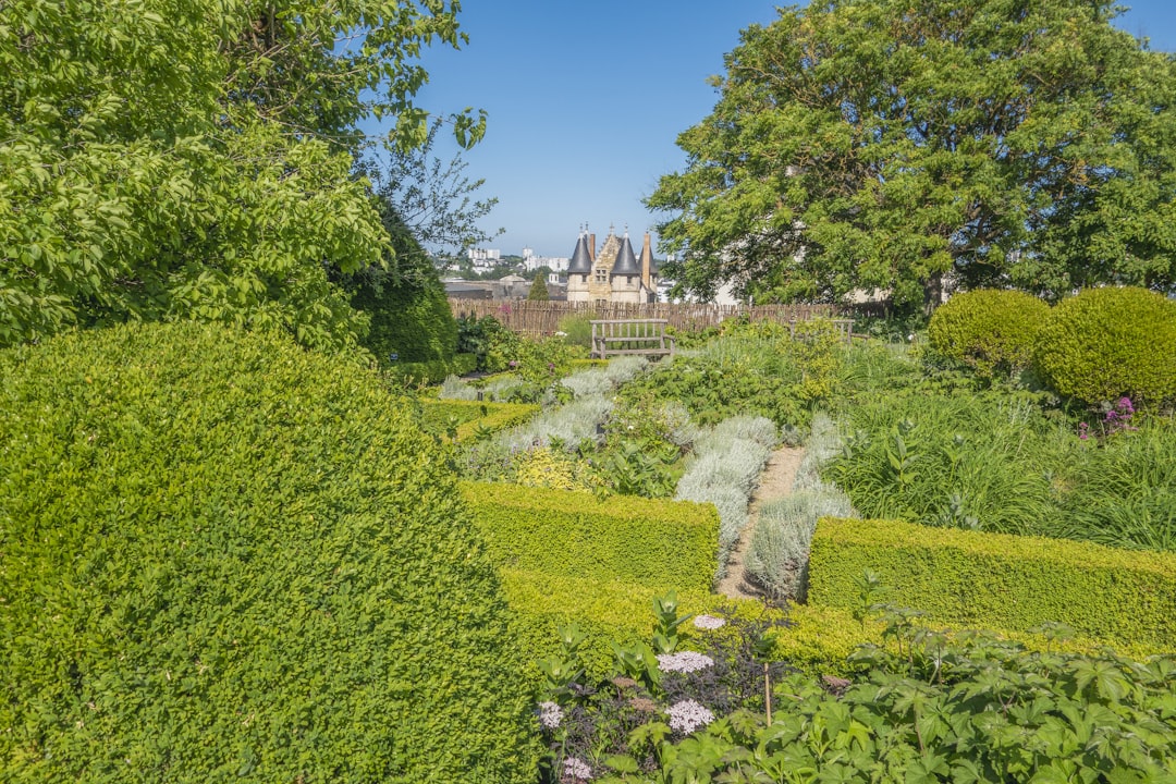 Lieu de teambuilding à Maine-et-Loire