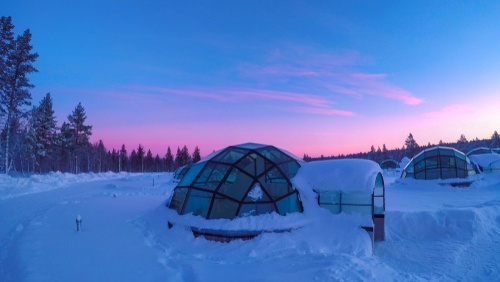animation team building igloo